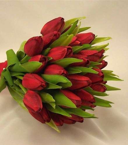 صور اجمل مسكة عروس توليب