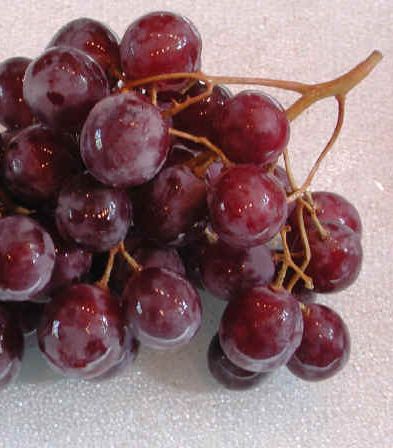 grapes-19-10-2010