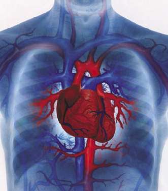 heart-disease-16-9-2010