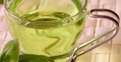 الشاي الأخضر يَقي المخ من الإصابة بالزهايمر