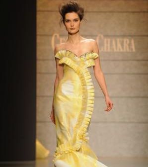 georgeschakra-26-1-2010_2.JPG
