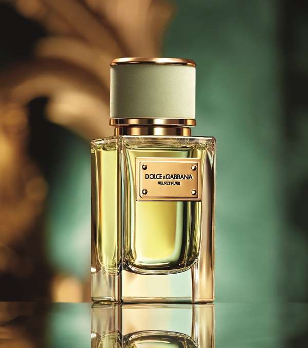 Velvet Pure من Dolce&Gabbana: