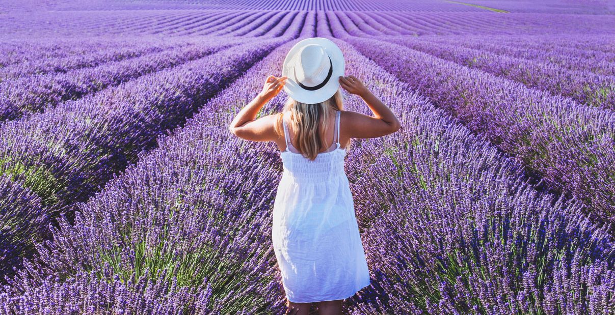 Plant, Lavender, Person