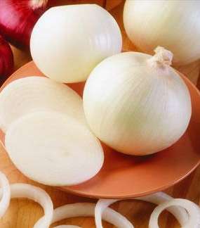 onion-white-4-1-2011