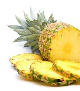 pineapple-1-12-2010