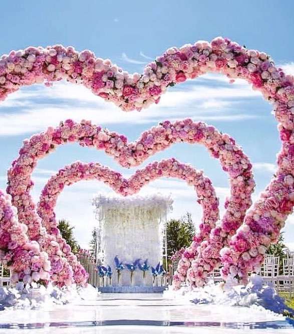 صور ثيمات عروس ملونة
