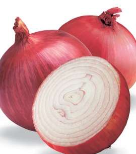 onion-red-4-1-2011