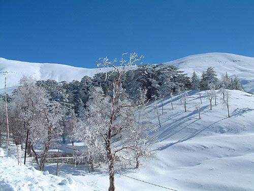 لبنان