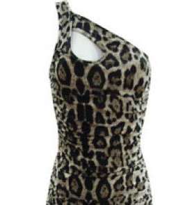 axparisanimalprintsdress