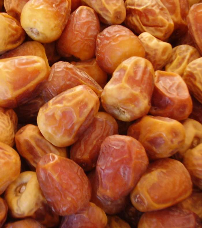 dates-17-8-2010