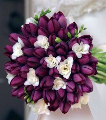 صور اجمل مسكة عروس توليب