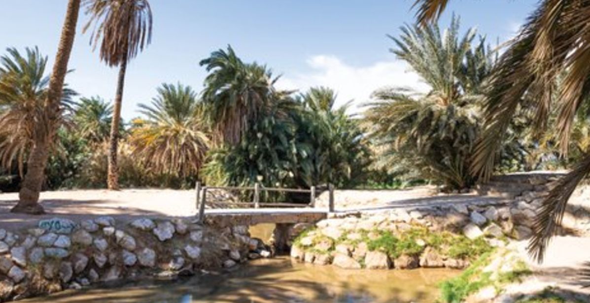 مدينة مقنا السعودية تأسر عشاق الطبيعة والمغامرة 