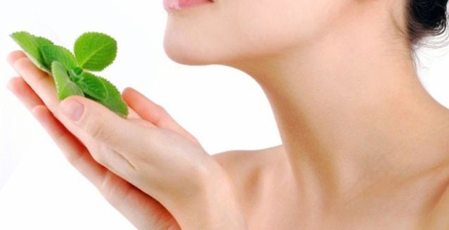 اكتشفي فوائد النعناع على البشرة خلال رمضان