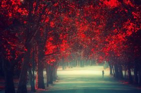  الكون أشبه بكتاب، وهؤلاء الذين لا يسافرون لا  يقرأون منه سوى  صفحة واحدة! 