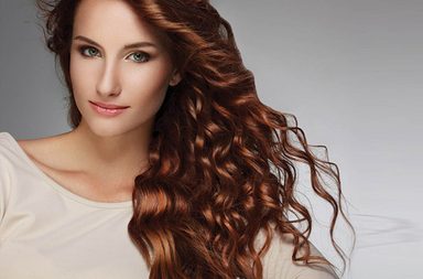 افضل شامبو للشعر الكيرلي