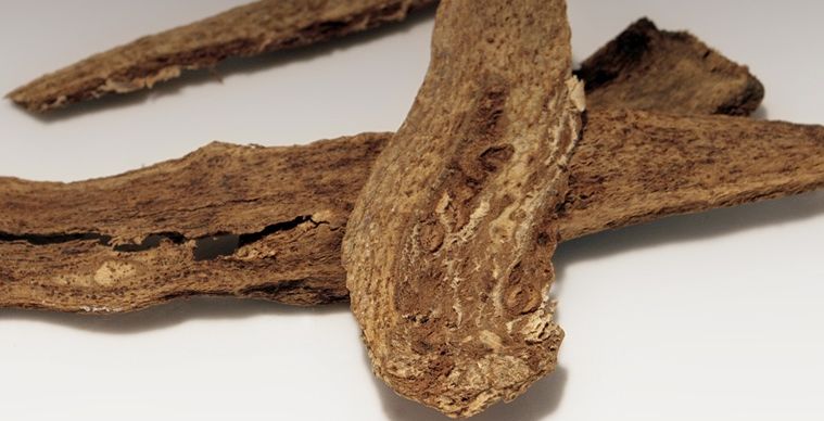 مفعول سحري للقسط الهندي للشعر 