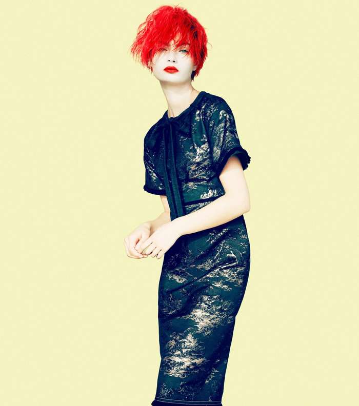 الفستان بالقصة المستقيمة المطبع وبموضة الميتاليك من ماري كاترانتزو مجموعة Resort 2017