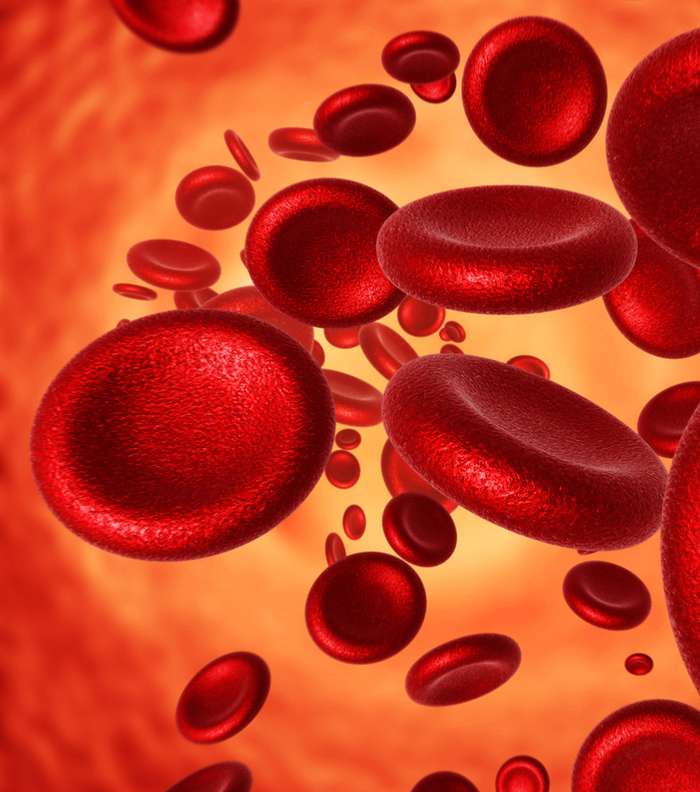 معلومات مفيدة عن الدورة الشهرية