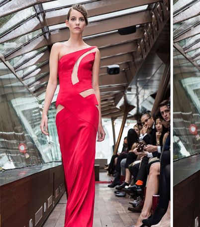 بالصور، فساتين رسمية لشتاء 2014 من تصميم روبير أبي نادر