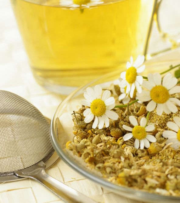 الخطوة الأولى: منقوع البابونج