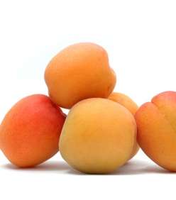 المشمش والفيتامين A