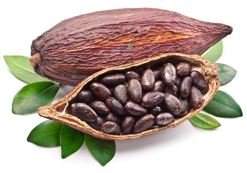 فوائد الكاكاو لاعصاب العروس