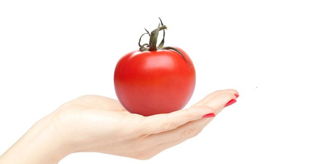 فوائد الطماطم الصحية 