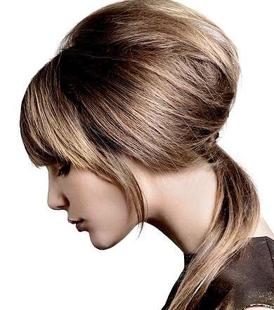 الربطة المنخفضة بالحجم الكبير