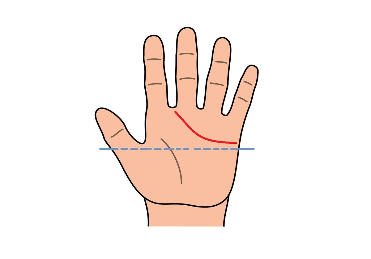 ما الذي يكشفه خط القلب في الكف عن علاقتك العاطفية؟