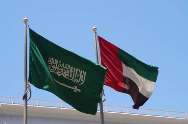 السعودية تشارك الامارات في احتفال اليوم الوطني تحت شعار "معاً أبداً"