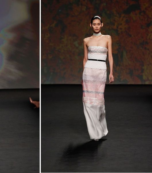 صور موديلات فساتين ديور 2014 | تصاميم Dior شتاء 2014