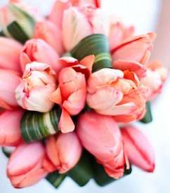 باقة توليب مزيّنة بالأوراق والأعشاب