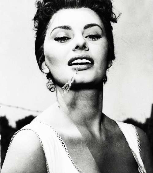 جمال مثالي بدون شك