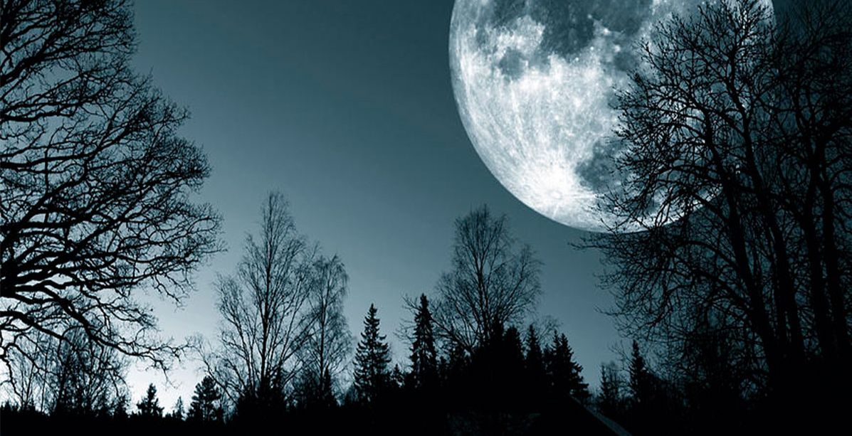 استعدي لمشاهدة ظاهرة القمر العملاق في هذا التاريخ!