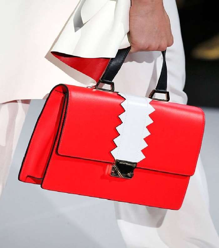 صور اجمل ماركة السلحفاة للشنط