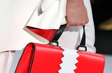 صور اجمل ماركة السلحفاة للشنط