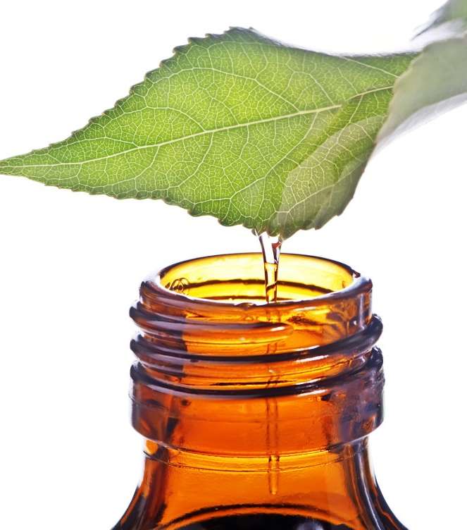 زيت شجرة الشاي