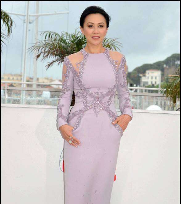 arina Lau تختار فستانها من إيلي صعب لمهرجان كان 2013