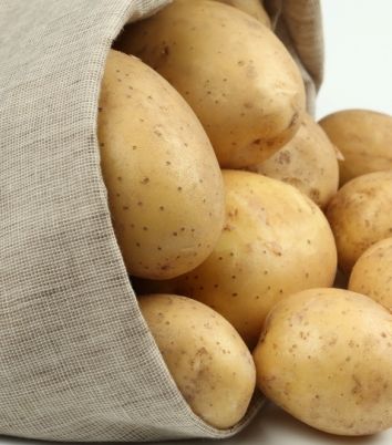 الخطوة الأولى