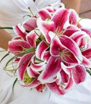 الزنبق حاضرُ في يومك الكبير 