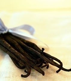 الفانيليا لتحريك رغباته وتهدئة أعصابه 