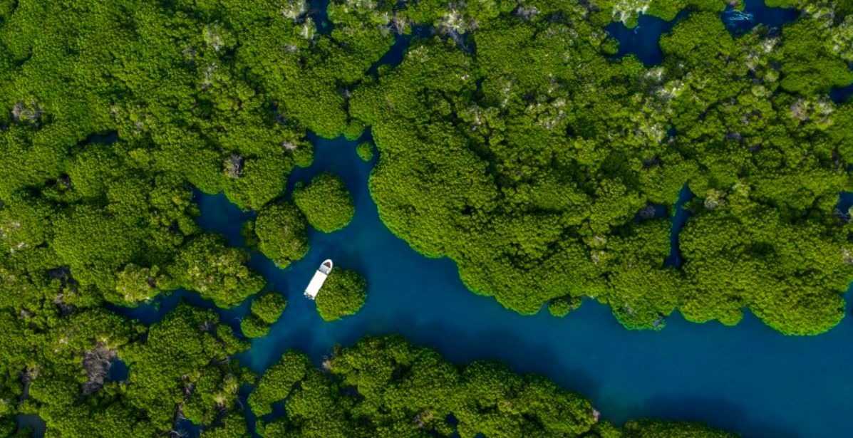 جزر فرسان "مالديف السعودية" تستهوي عشاق الشواطئ الفيروزية