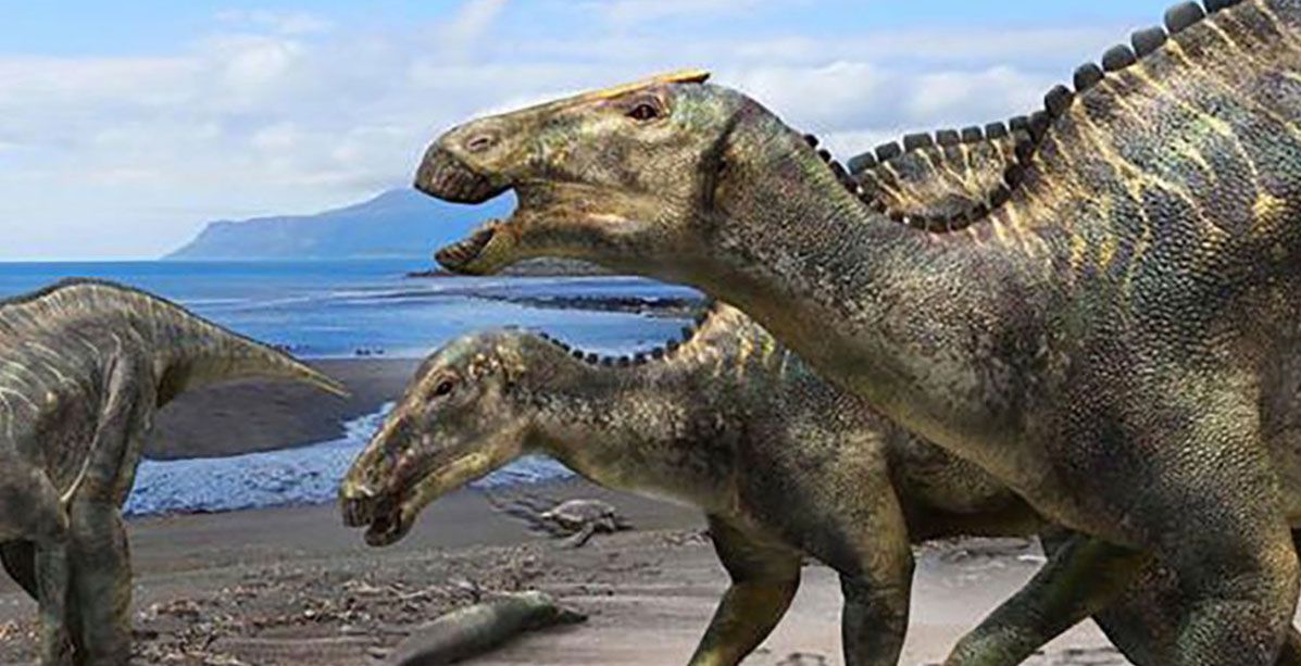 كيف انقرضت الديناصورات عن الارض؟