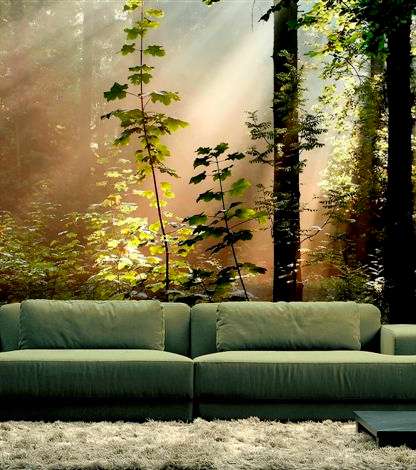 5 رسمات تُجلس الطبيعة في منزلكِ