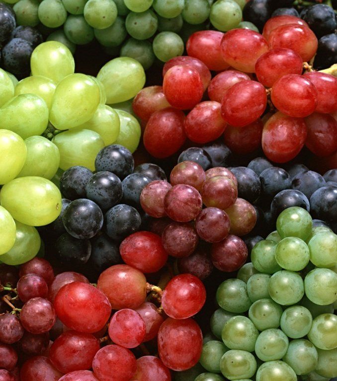 العنب وأمراض الكلى
