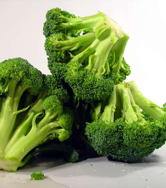 broccoli-24-9-2010