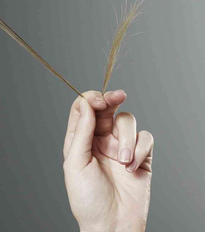 فوائد زيت الصبار للشعر