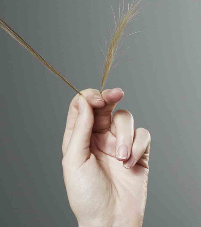 فوائد زيت الصبار للشعر