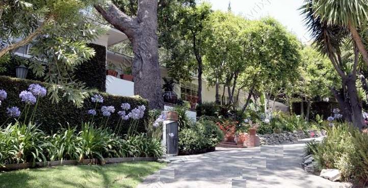 Yard, Outdoors, Nature