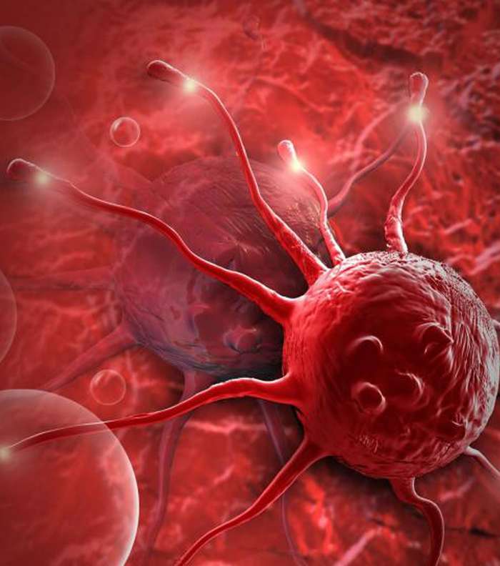 ما فوائد القسط الهندي الجمالية والصحية